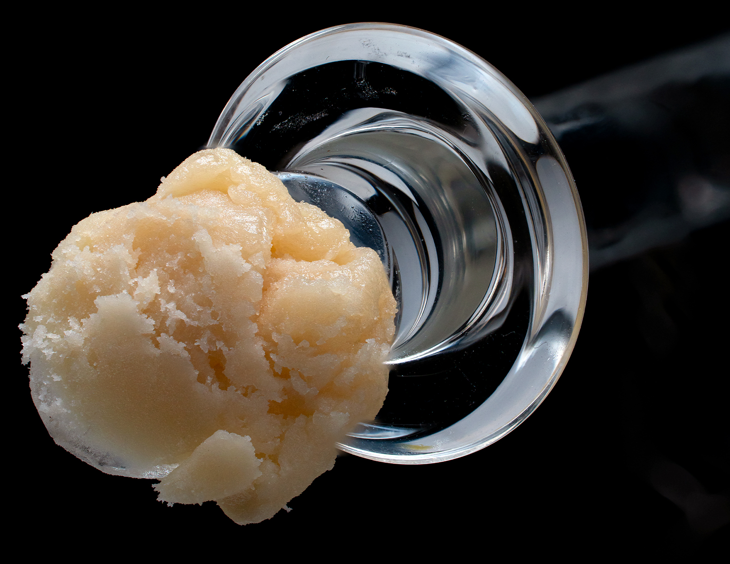 Trichome Zero G Macro Photo